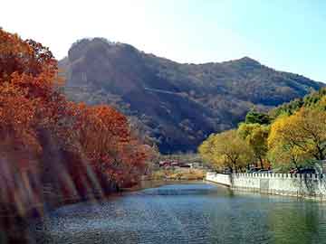 管家婆黑白马报图库，樱花吸油烟机价格